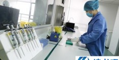 「上海核酸检测一次多少钱」上海核酸检测一次多少钱混检