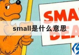small是什么意思(small是什么意思中文)