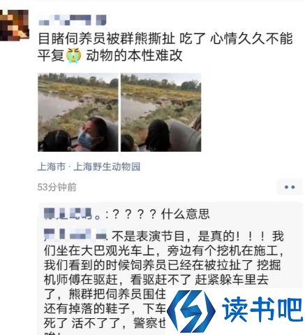 上海野生动物园熊伤人致死怎么回事3