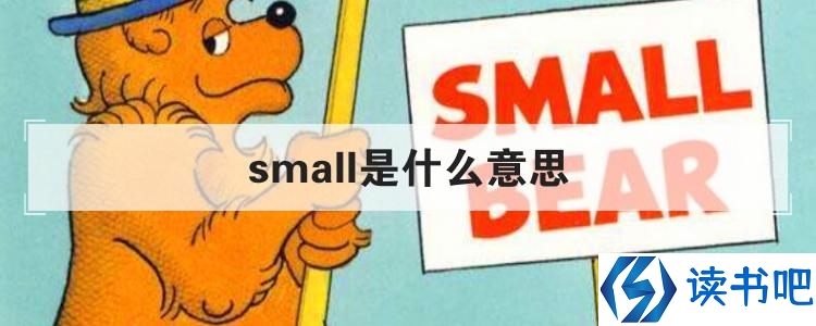 small是什么意思
